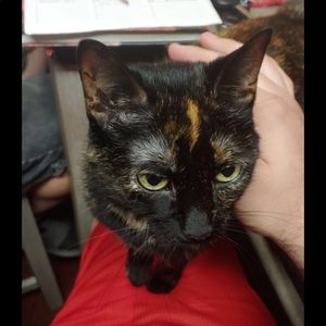 Meet your Posher, Arrielle